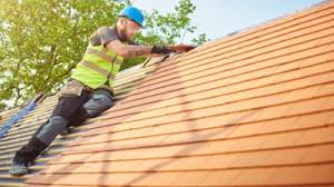 Best Roof Ventilation Installation  in Lake Isabella, MI