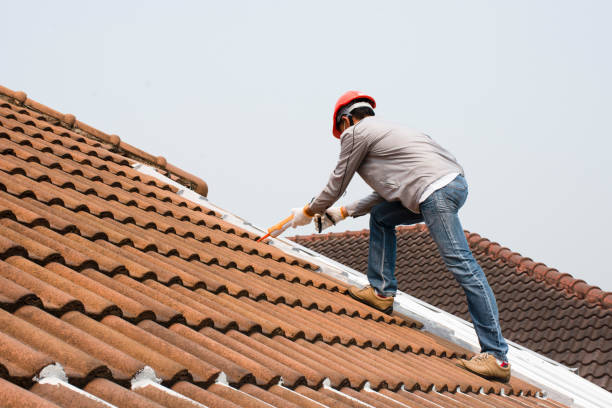 Best Roof Moss and Algae Removal  in Lake Isabella, MI