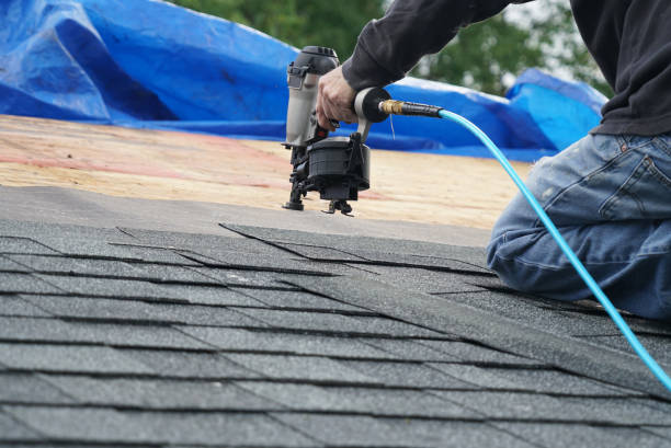 Best Roof Leak Repair  in Lake Isabella, MI