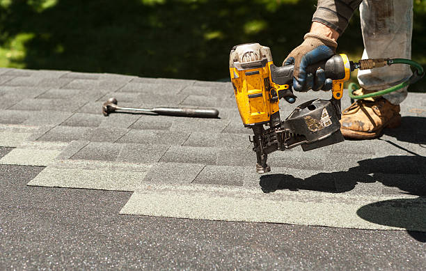 Best Roof Moss and Algae Removal  in Lake Isabella, MI