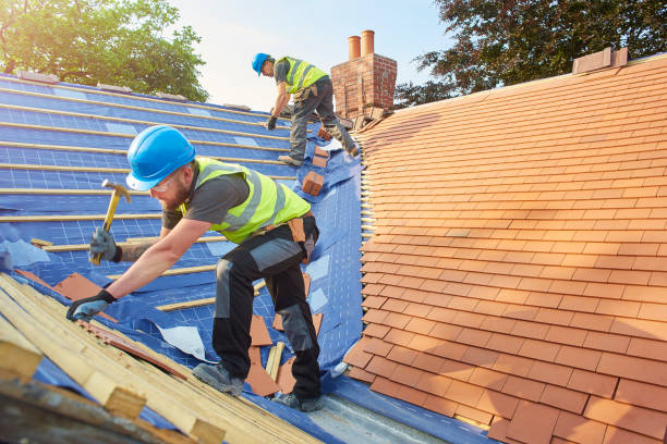 Best Solar Panel Roofing Installation  in Lake Isabella, MI